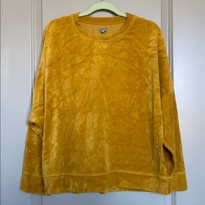 XL Aerie Velvet Sweatshirt